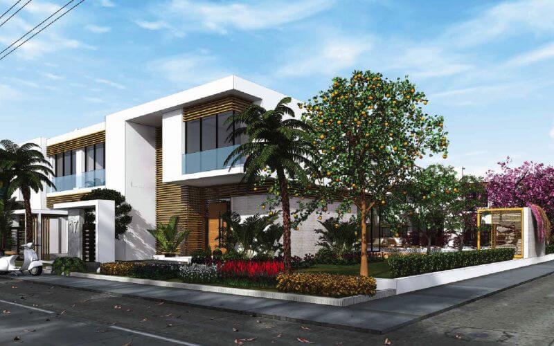 Moroccan Real Estate Tycoon Jailed in Massive Fraud Case Affecting 800 Homebuyers