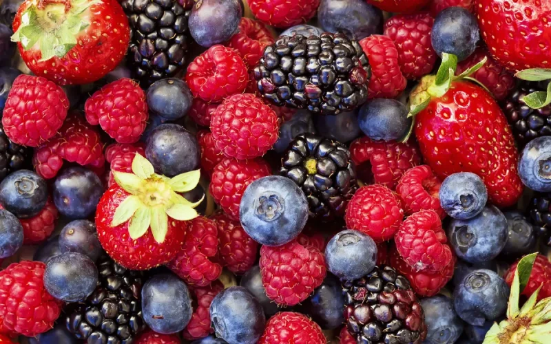 Moroccan red fruits are a hit in France