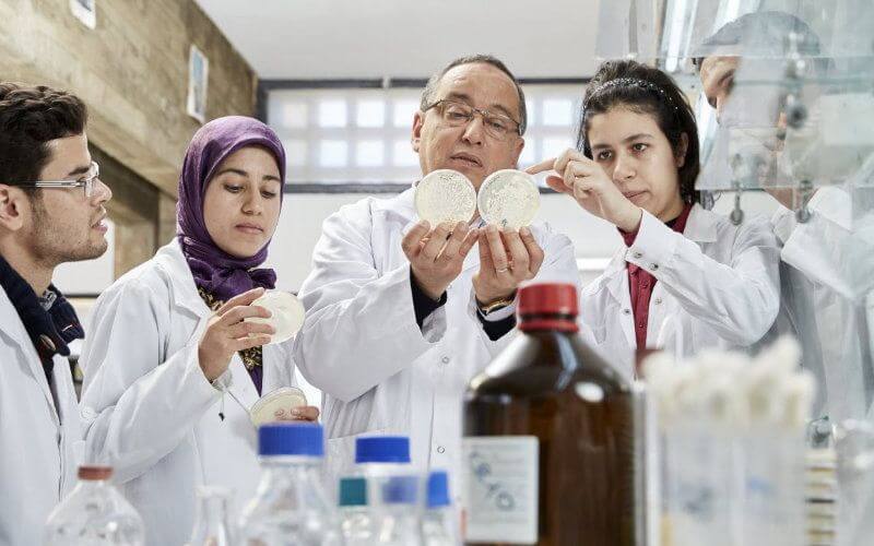 Moroccan Researcher Claims Antibiotic-Eucalyptus Treatment Could Combat Coronavirus