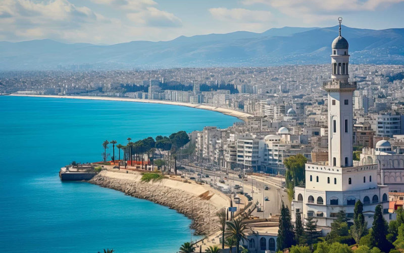 Moroccan Rights Group Warns Against Travel to Algeria Amid Safety Concerns