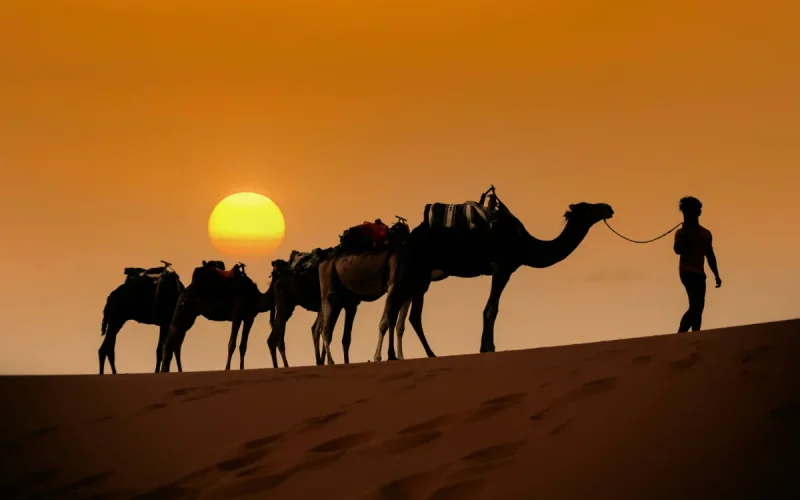 The Moroccan Sahara has a new asset: these "caravan" hikes are attracting visitors in the winter