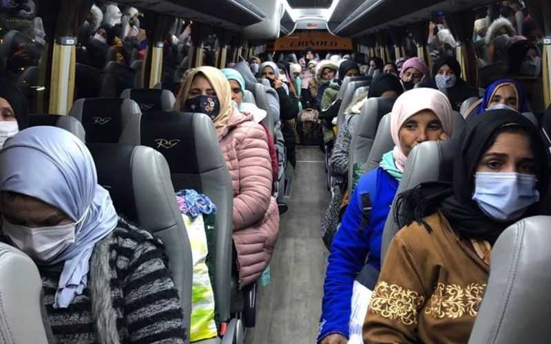 Moroccan Seasonal Workers Arrive in Spain for Expanded Strawberry Harvest