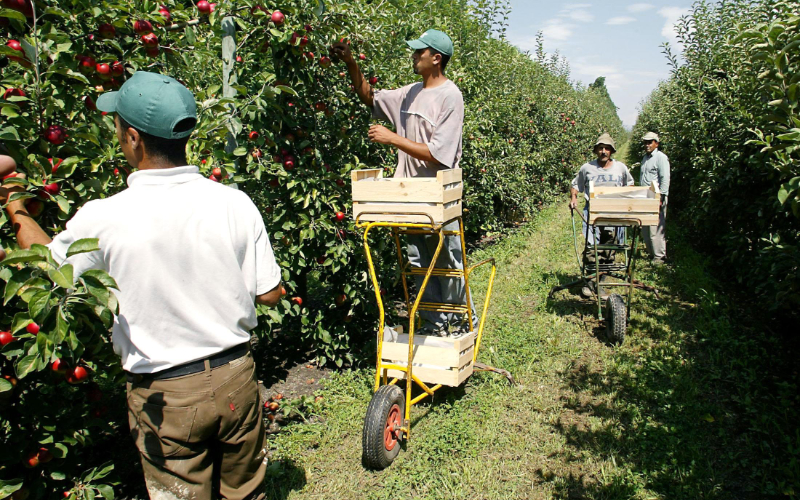 Moroccan Seasonal Workers Stranded in France Seek Repatriation Amid COVID Restrictions