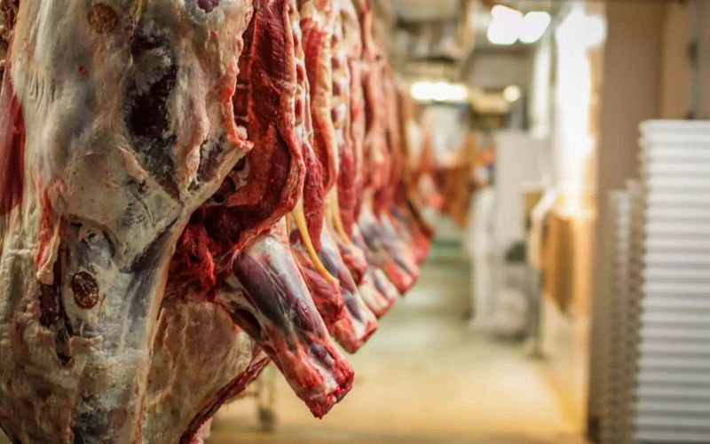 Moroccan Slaughterhouse Managers Face Trial for Alleged Migrant Exploitation