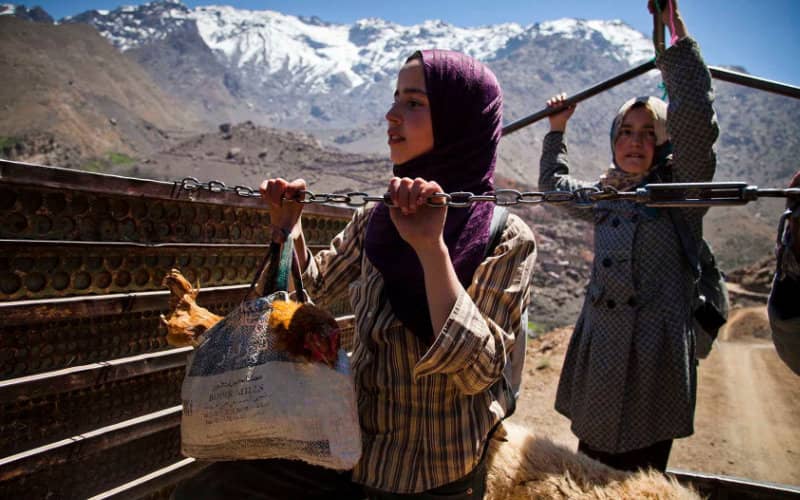 Moroccan Student's Inspiring Journey: From 22km Mountain Trek to Paris Medical School