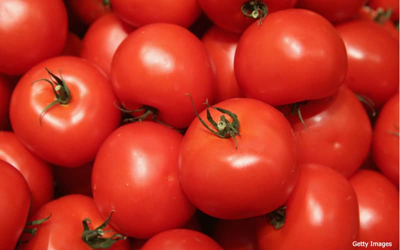 Moroccan Tomato Exports Surge in Europe, Decline in Russia