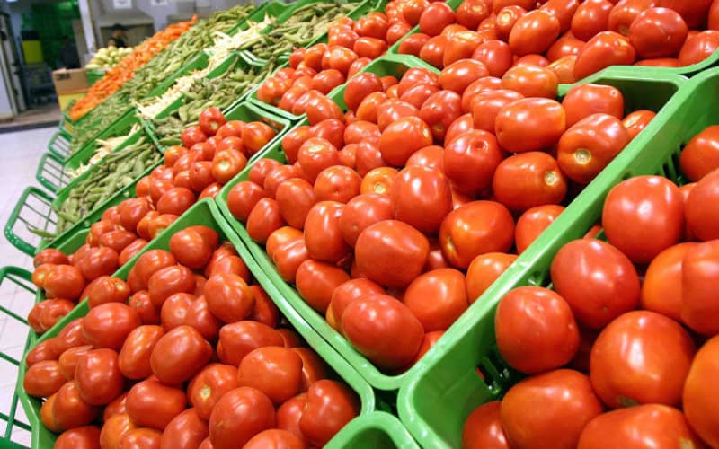 Moroccan Tomato Exports Surpass Spain's, Reshaping Mediterranean Produce Market