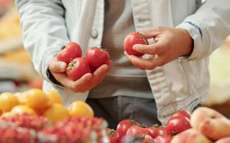 Moroccan Tomatoes: EU Farmers Denounce Unfair Competition and Opaque Labels