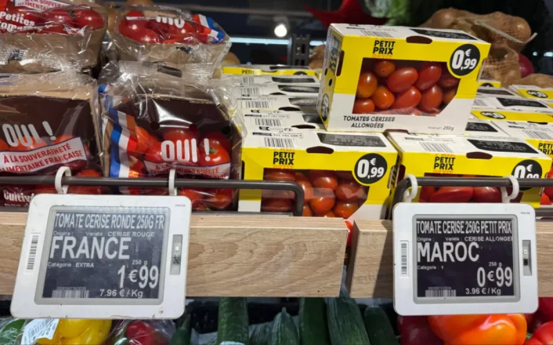 Moroccan tomatoes fight inflation in France