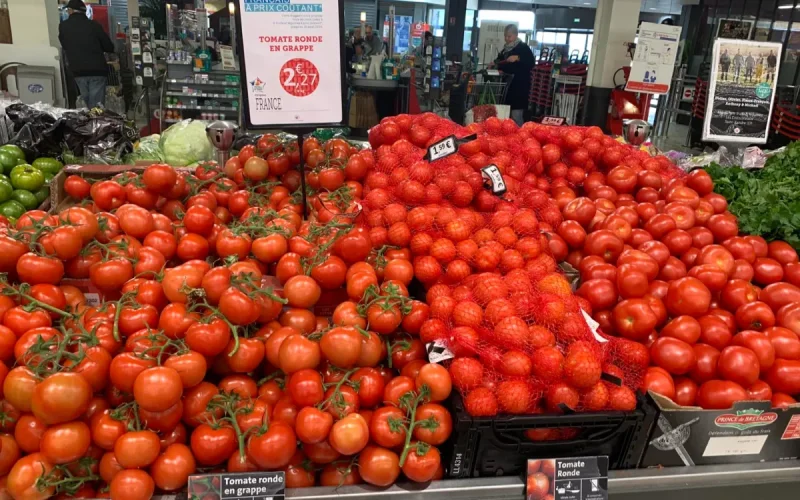 Moroccan tomatoes French producers lose negotiations market pressure