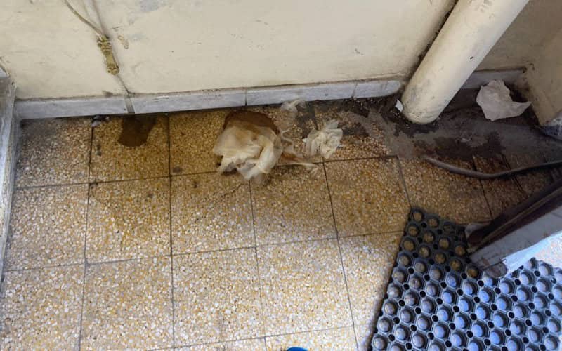 Moroccan Travelers Face Harsh Conditions at French Port Awaiting Ferry to Morocco