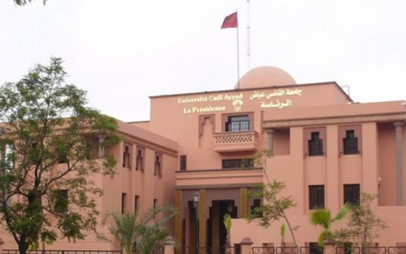 Moroccan Universities Lag Behind in Africa's Top 100 Rankings, Study Finds