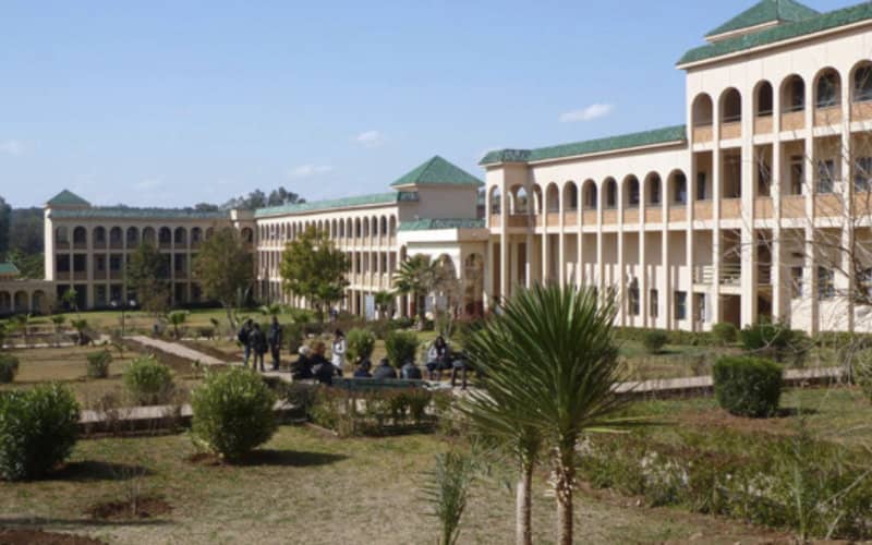 Moroccan University Sex Scandal: 5 Professors Face Charges in Settat