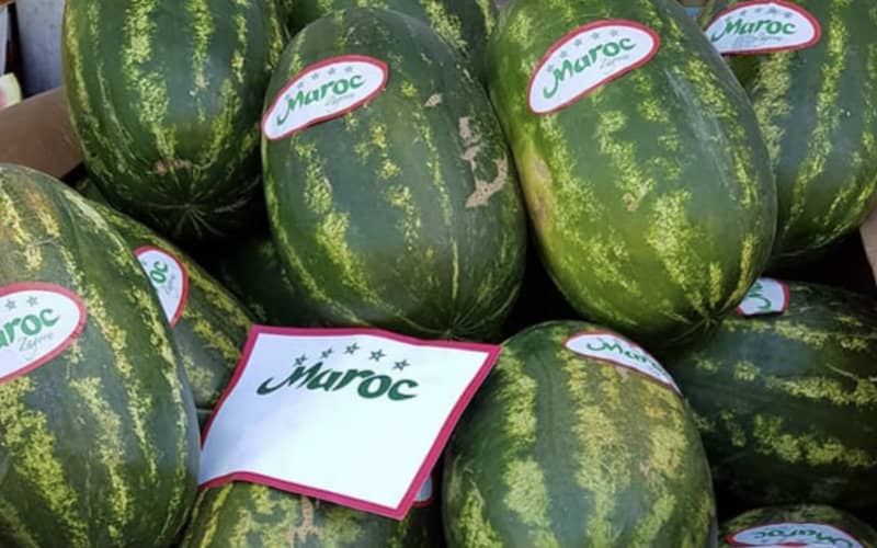 Moroccan Watermelon Exports Surge in EU Market, Challenging Spanish Dominance