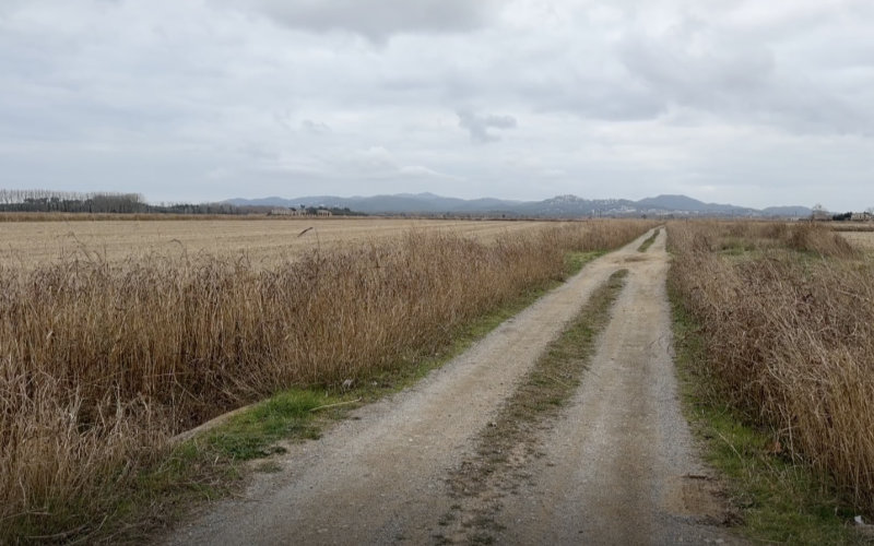 Moroccan Woman Found Dead in Spain, Suspected Victim of Gender Violence