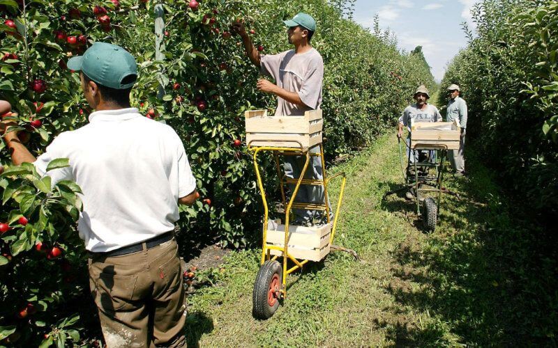 Moroccan Workers Accuse French Companies of Modern Slavery in Labor Court Case