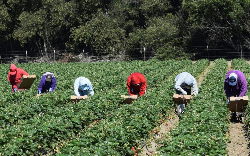 Moroccan Workers Scammed in French Job Scheme, Trial Set for August