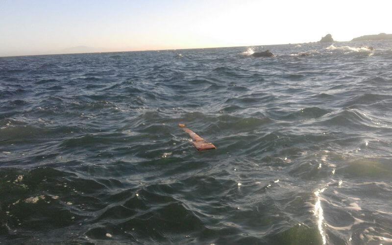 Moroccan Youths Attempt Risky Swim from Ceuta to Morocco for Ramadan Reunion