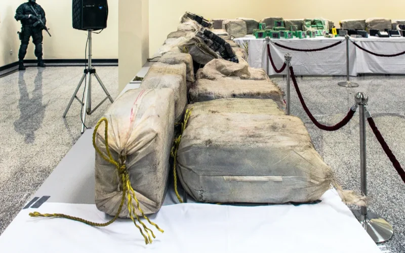 Morocco: 446 tons of drugs seized since the beginning of the year, according to the Ministry of the Interior