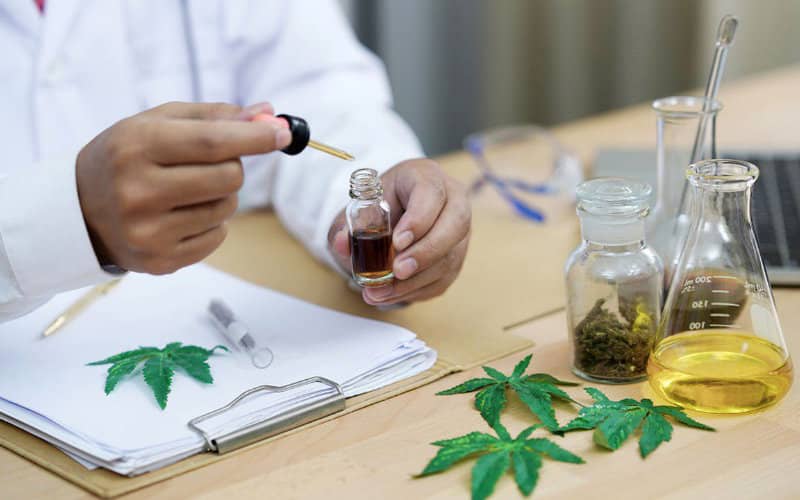 Morocco Advances Cannabis Research with New Scientific Partnerships