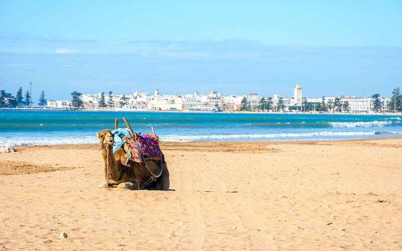 Morocco Aims to Attract 1 Million British Tourists by 2020
