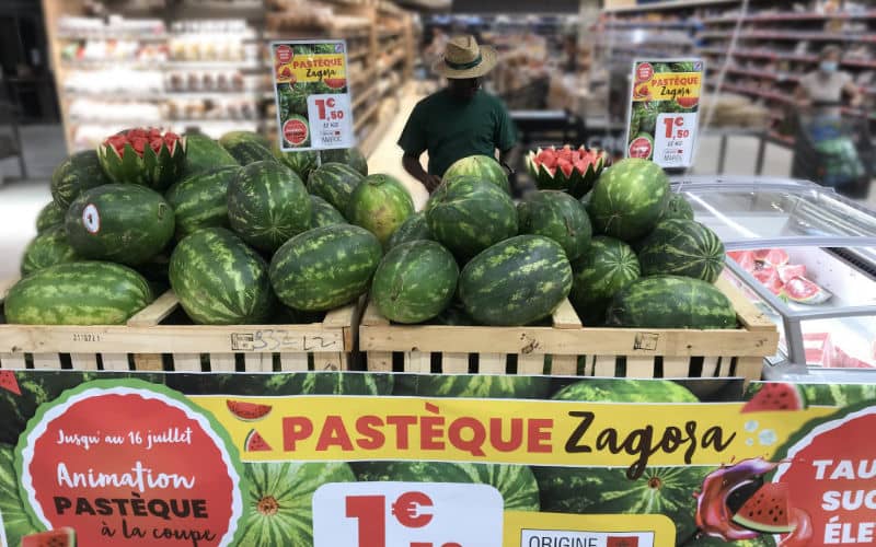 Morocco Bans Water-Intensive Melon Crops Amid Severe Drought