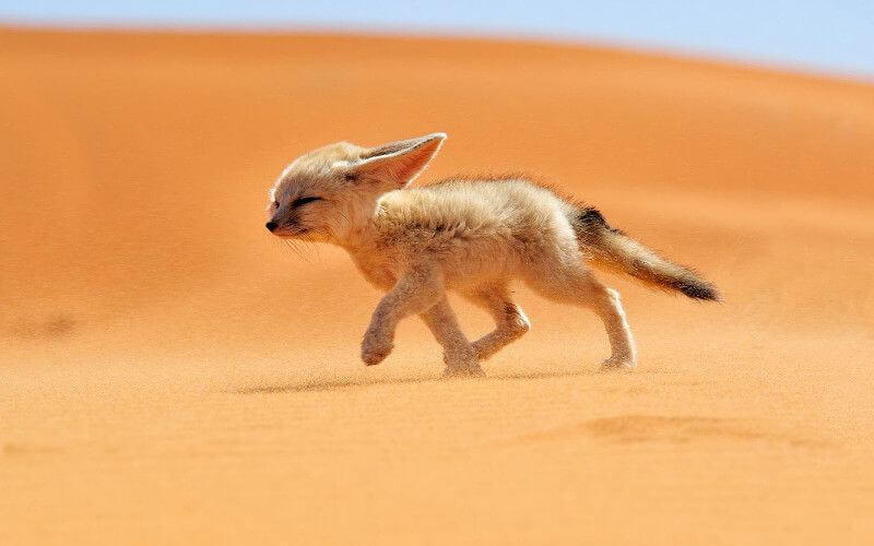 Morocco Braces for Heatwave as Temperatures Near 40°C (104°F) in Southern Regions