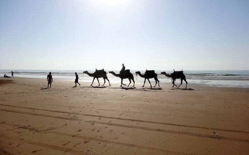 Morocco Braces for Heatwave as Temperatures Soar to 43°C (109°F)