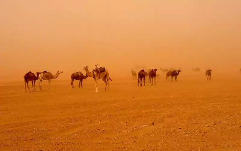 Morocco Braces for Intense Heatwave as Temperatures Soar to 46°C (115°F)