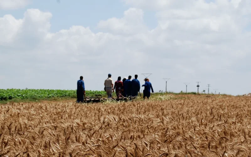 Morocco cleans up illegal land occupations