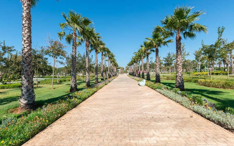 Morocco Combats Drought: Rabat to Irrigate Parks with Recycled Wastewater