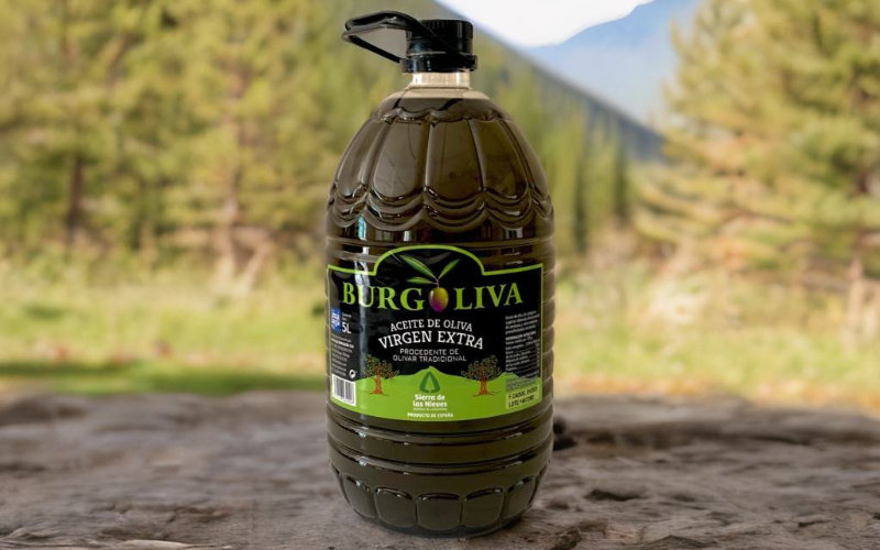 Morocco Considers Olive Oil Imports as Domestic Prices Soar