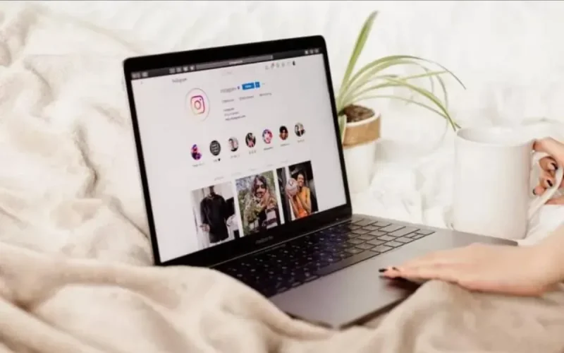 Morocco Cracks Down on Web Influencers Tax Evasion