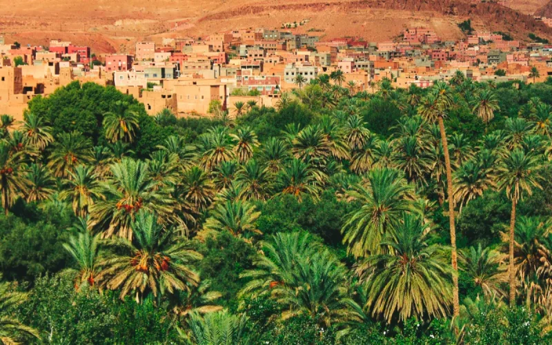 Morocco Economic Growth 2025: Agriculture Drives 4.9% Expansion