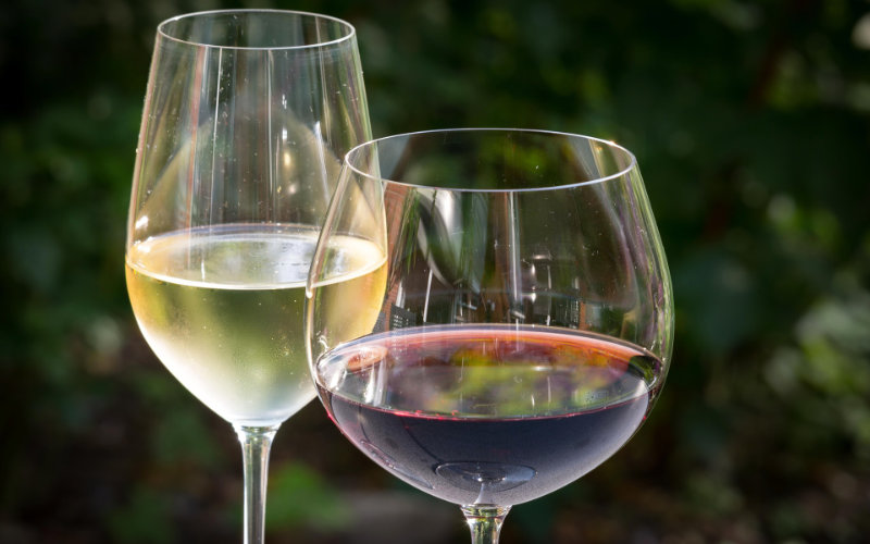 Morocco Emerges as Africa's Second-Largest Wine Producer