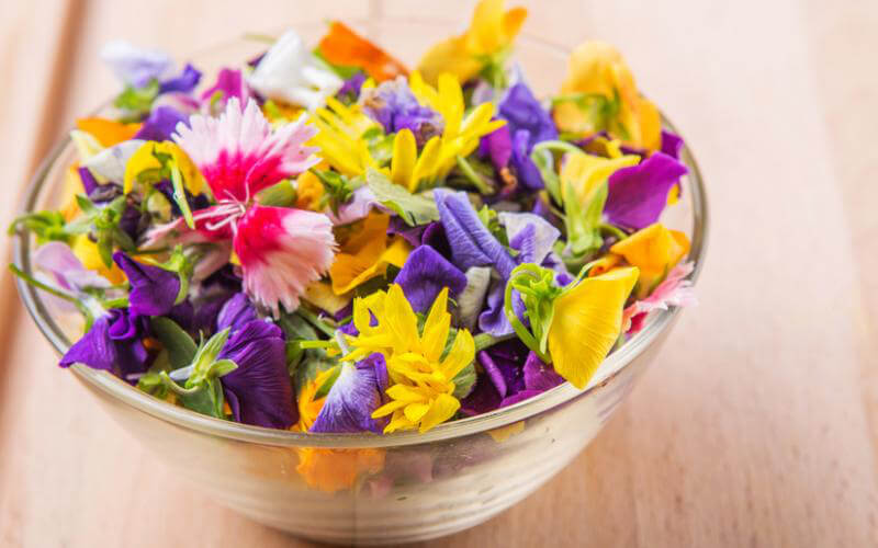 Morocco Emerges as Key Rival to France in Growing Edible Flower Market