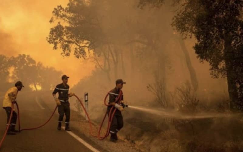 Morocco Establishes Support Cell for Wildfire Victims as Blazes Subside in Northern Regions