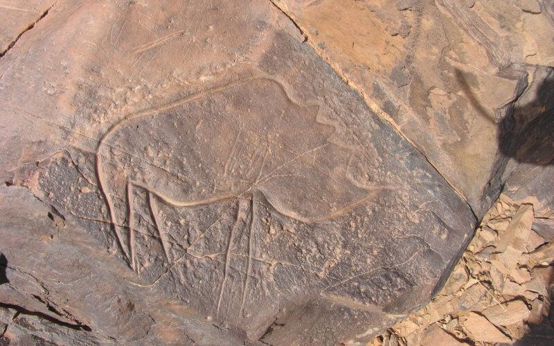 Morocco Expands Historic Monuments List with Four New Rock Art Sites