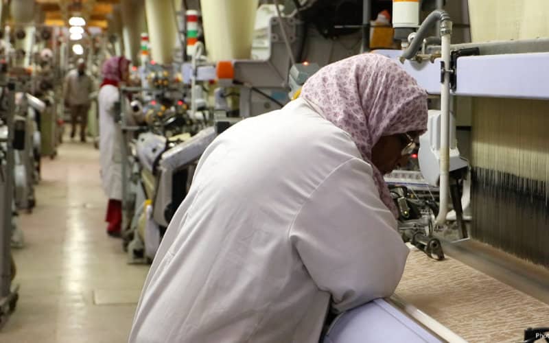 Morocco Explores Cannabis Fiber to Boost Textile Industry Competitiveness