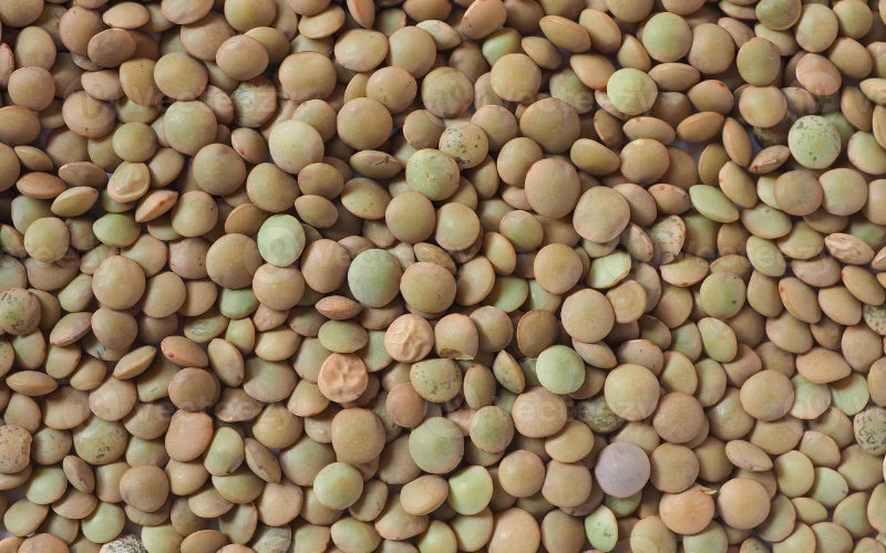 Morocco Faces Lentil Price Surge: Local Crops Nearly Double in Cost