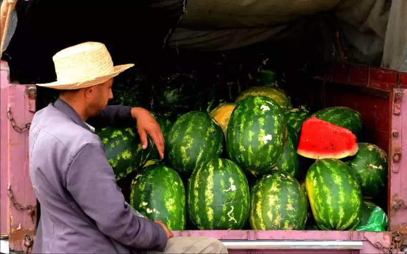 Morocco Faces Water Crisis as Watermelon Exports Surge Amid Severe Drought