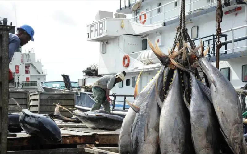 Morocco fishing crisis: stocks collapse, exports at risk