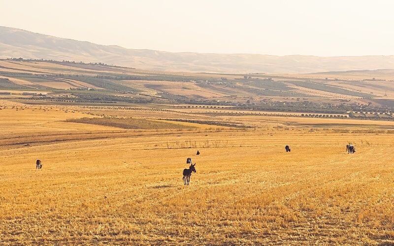 Morocco Forecast: Light Rain and Temperature Rise Expected Across Regions