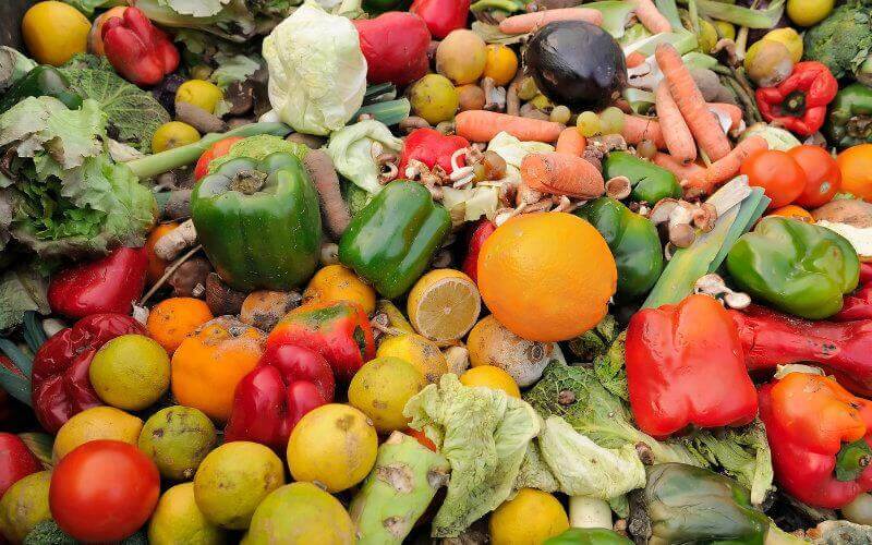 Morocco Grapples with High Food Waste as Study Reveals 34% of Household Budgets Affected