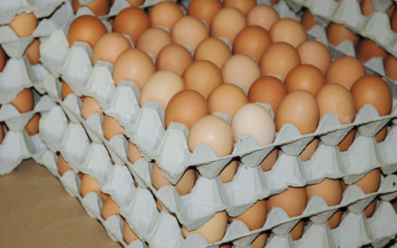 Egg Prices Surge in Morocco Ahead of Ramadan, Sparking Consumer Concern