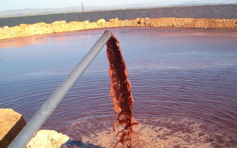 Morocco: Green gold turns into an ecological disaster