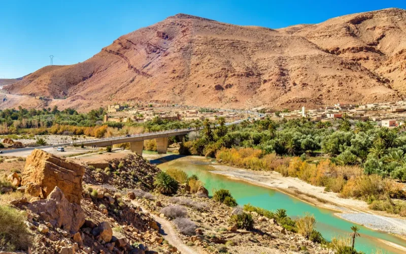 In Morocco, the ground reaches 50 °C, while vegetation lowers temperatures by more than 5 °C