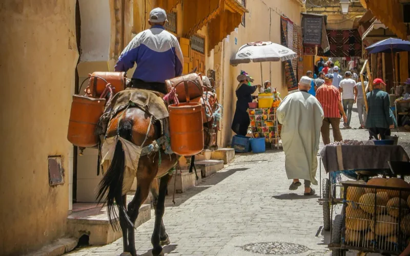 Morocco Growth Strategy: World Bank 10-Year Partnership Plan
