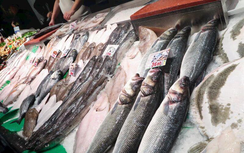Morocco Halts Fish Supplies to Spanish Enclave Sebta, Sparking Food Concerns