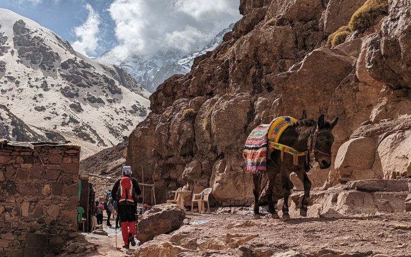 Morocco: he climbs Mount Toubkal to honor the memory of his late wife